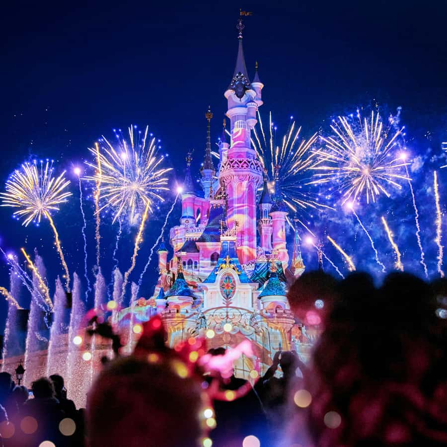 Disneyland Paris 1-Day Ticket Hotels Booking Trips