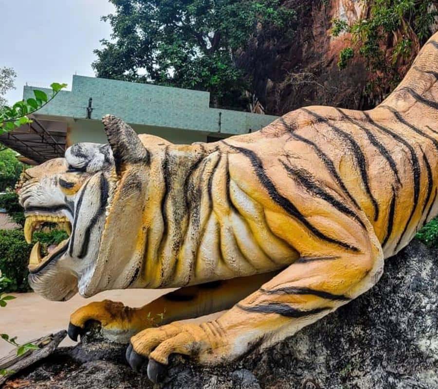 Krabi Tiger Cave, Hot Springs and Emerald Pool Jungle Tour 