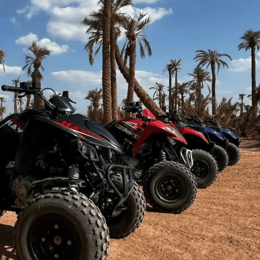 Marrakech: Dunes of the Palmeraie Quad Bike Ride with Tea Hotels Booking Trips