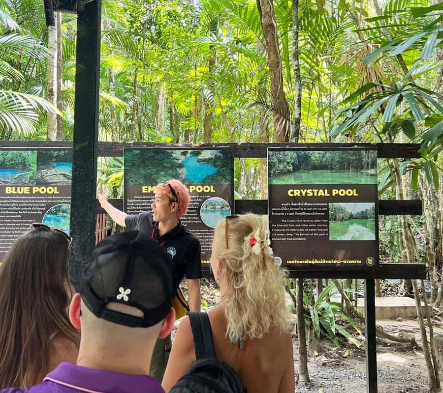 Krabi Tiger Cave, Hot Springs and Emerald Pool Jungle Tour 