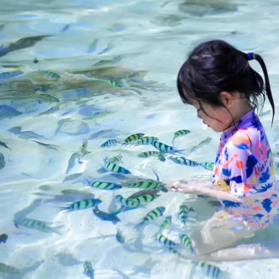 Phuket: 3 Khai Islands Snorkeling and Relaxation Tour Hotels Booking Trips