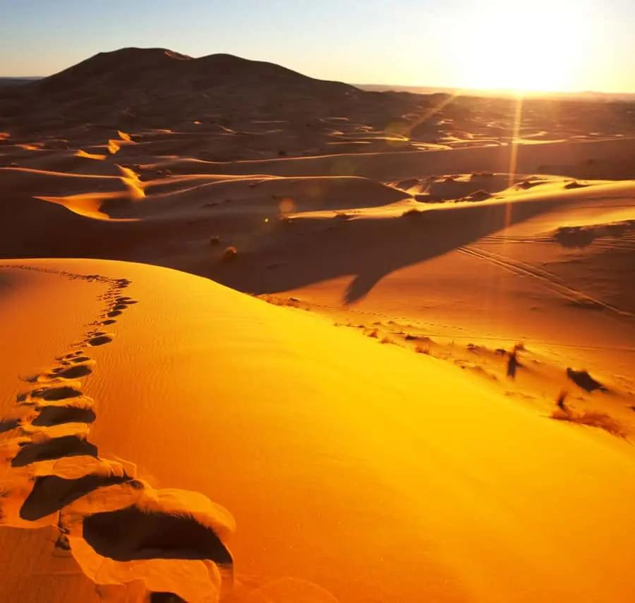 From Merzouga: Overnight Camel Trek over Erg Chebbi Dunes Hotels Booking Trips