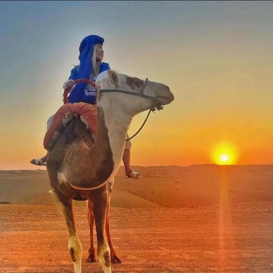 Marrakech: Agafay Desert Sunset, Camel Ride, and Dinner Show Hotels Booking Trips