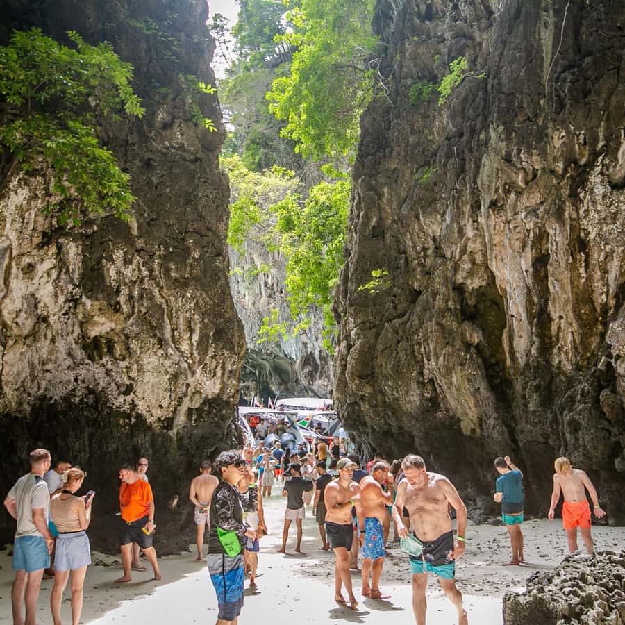 From Phi Phi Half Day Longtail Boat Tour with Snorkeling 