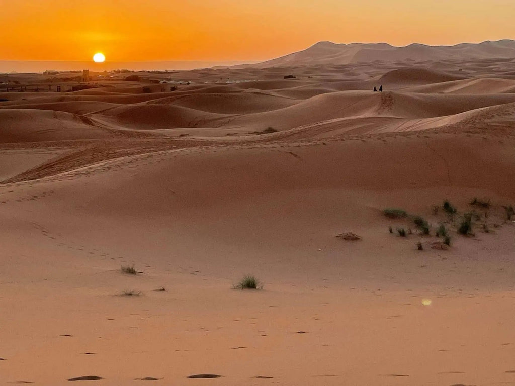 Fes: 3 Days Desert Tour from Fes back to Fez Hotels Booking Trips