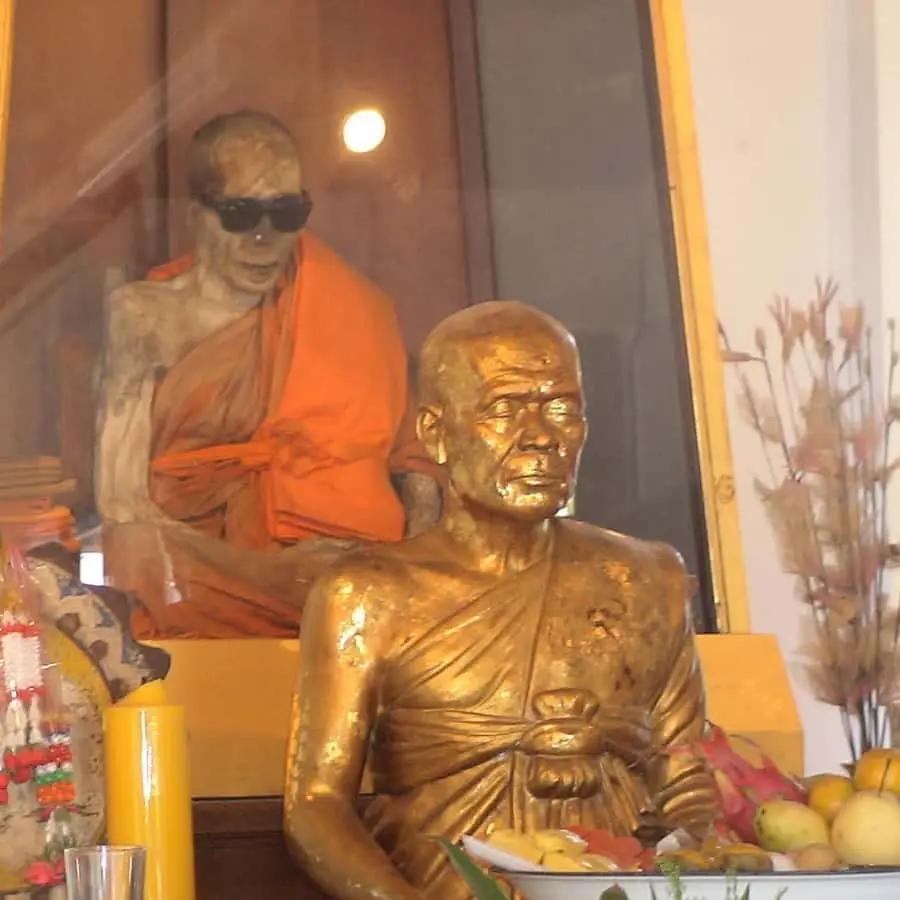 Koh Samui: Mr.Ung's 4WD Wild Jungle Safari Tour with Lunch Hotels Booking Trips