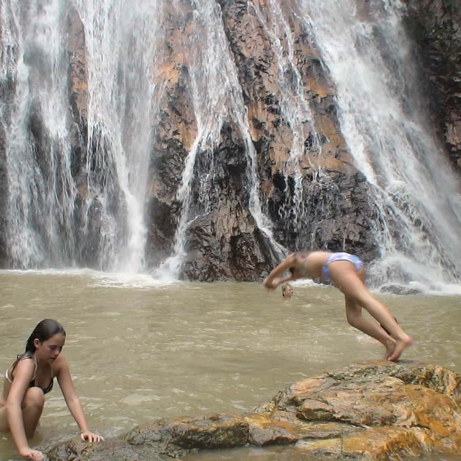 Koh Samui: Mr.Ung's 4WD Wild Jungle Safari Tour with Lunch Hotels Booking Trips