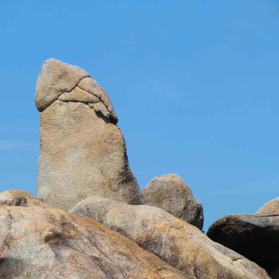 Koh Samui: Mr.Ung's 4WD Wild Jungle Safari Tour with Lunch Hotels Booking Trips