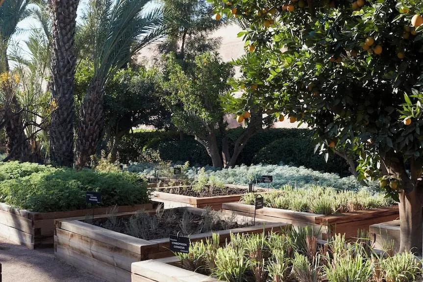 Royal Mansour Marrakech morocco Hotels Booking Trips