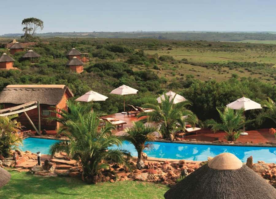 From Cape Town: 2-Day Safari at Garden Route Game Lodge Hotels Booking Trips