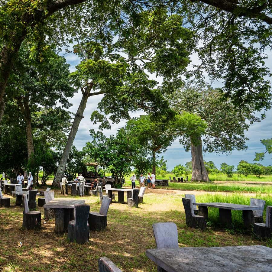 From Zanzibar: Mikumi Safari Day Trip with Flights and Lunch Hotels Booking Trips