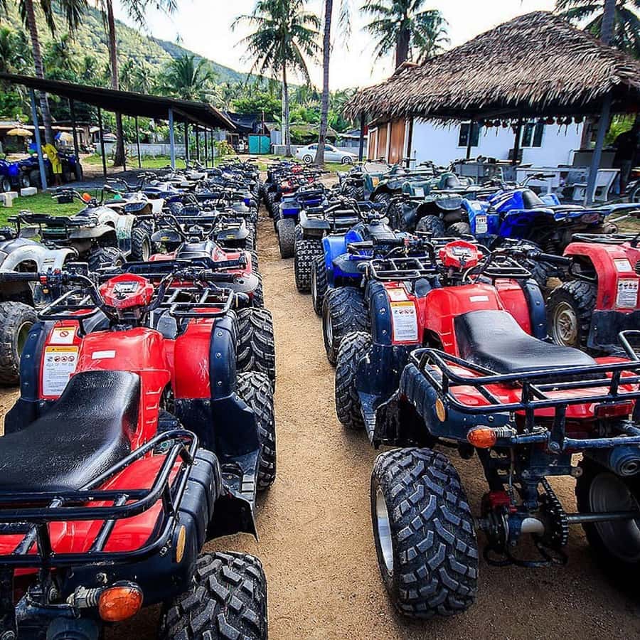 Koh Samui: ATV Quad Bike Safari Tour Hotels Booking Trips