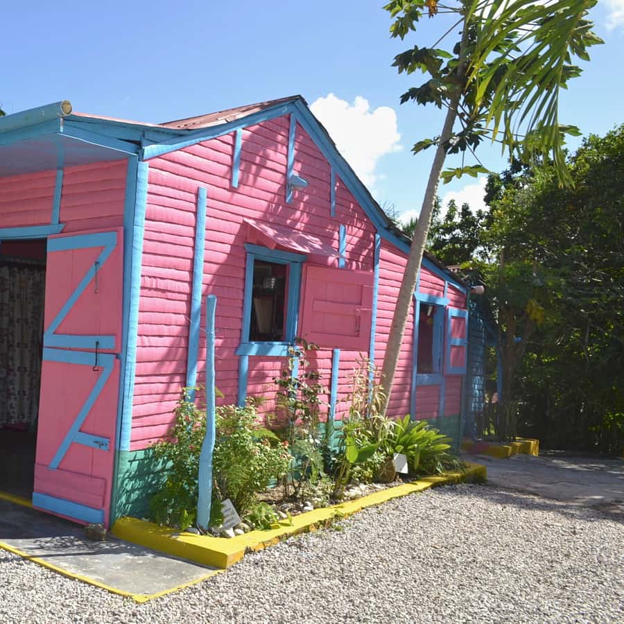 From Bayahibe Half Day Monkeyland Safari Hotels Booking Trips