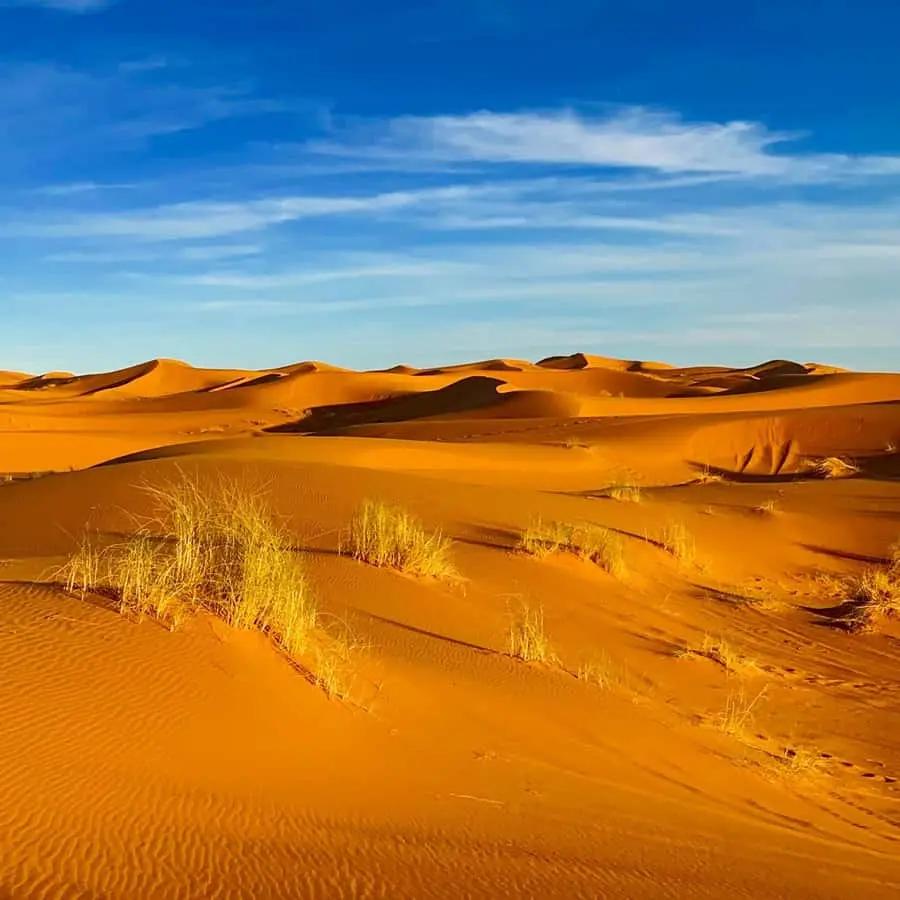 From Merzouga: Overnight Camel Trek over Erg Chebbi Dunes Hotels Booking Trips