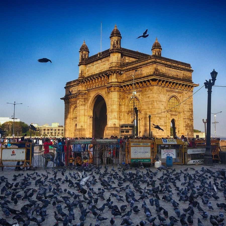 Mumbai: Full-Day Sightseeing Tour of Mumbai Hotels Booking Trips