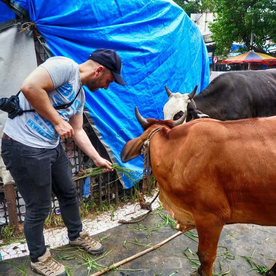 Mumbai: Full-Day Sightseeing Tour of Mumbai Hotels Booking Trips