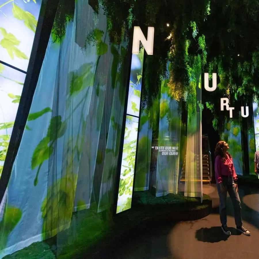 Dublin: Guinness Storehouse Entry Ticket Hotels Booking Trips