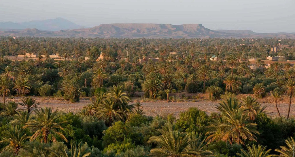 From Marrakesh: 4-Day Private Atlas Mountains & Desert Tour Hotels Booking Trips