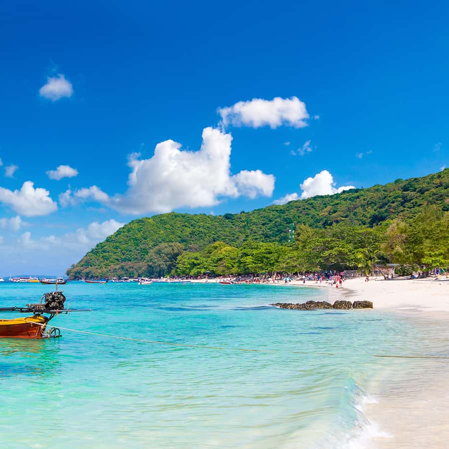 Koh Samui: Island Hopping Adventure in Coral and Pig Island Hotels Booking Trips