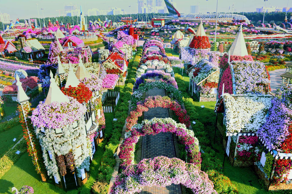 Dubai Miracle Garden Skip-the-Line Ticket & Transport Option Hotels Booking Trips