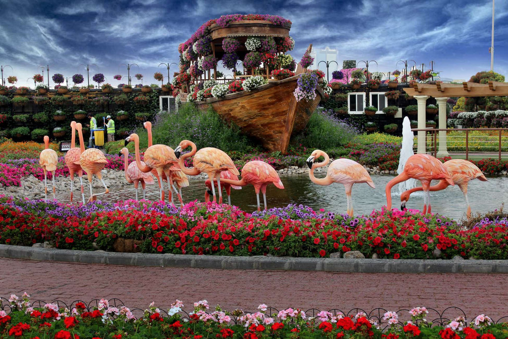 Dubai Miracle Garden Skip-the-Line Ticket & Transport Option Hotels Booking Trips