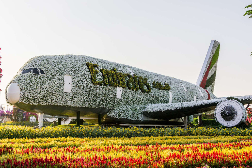 Dubai Miracle Garden Skip-the-Line Ticket & Transport Option Hotels Booking Trips
