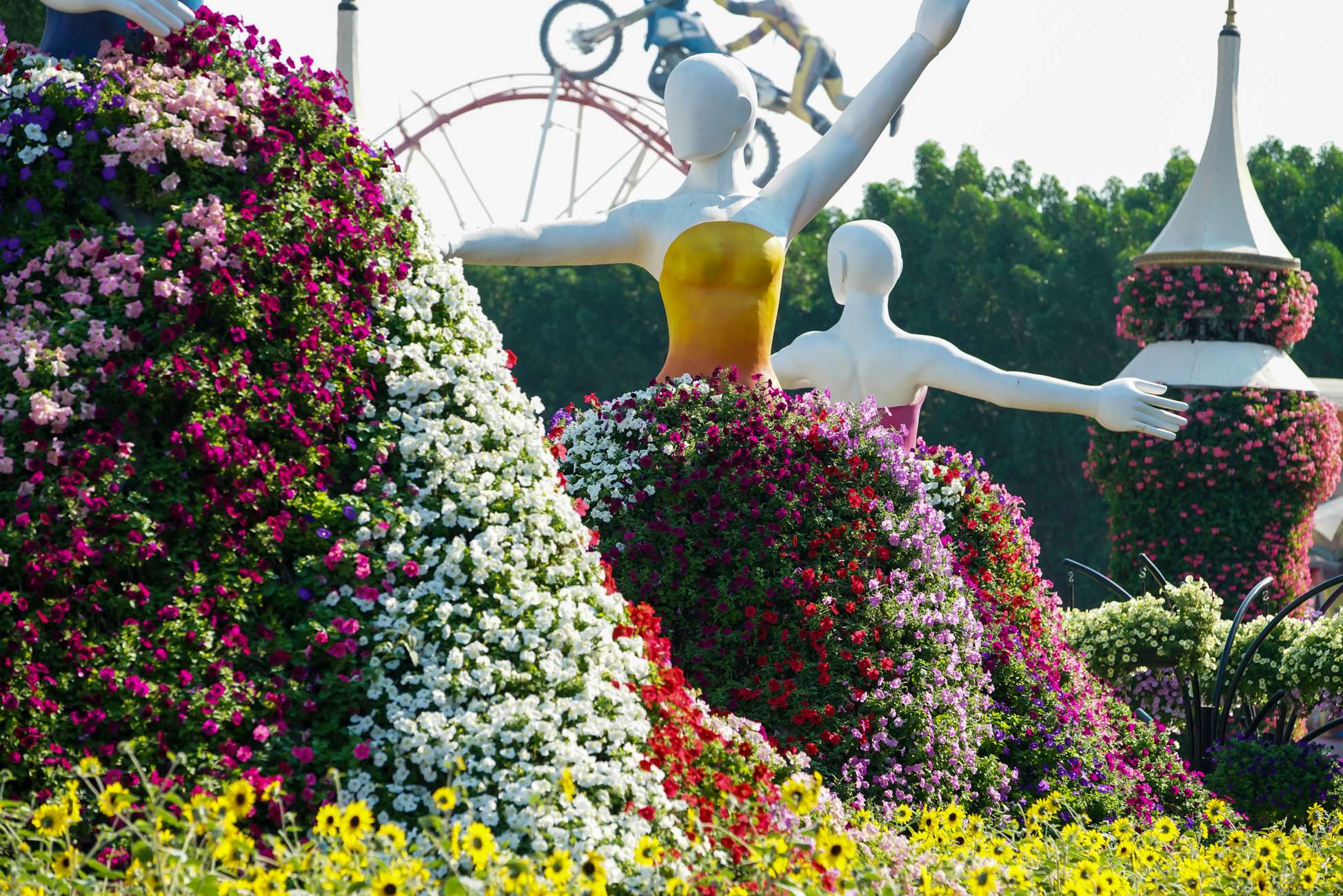 Dubai Miracle Garden Skip-the-Line Ticket & Transport Option Hotels Booking Trips