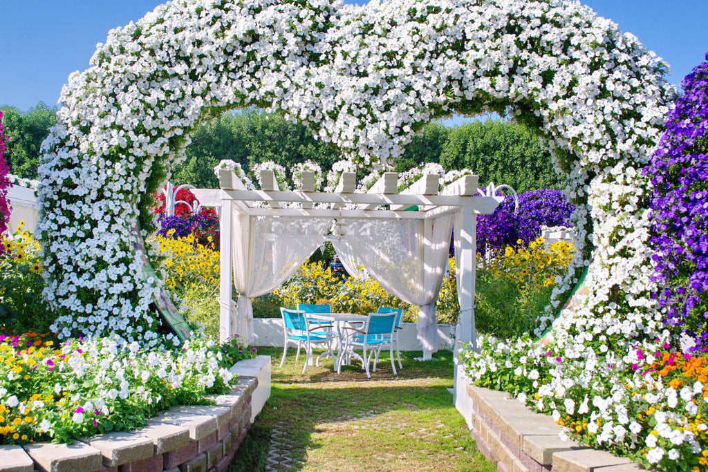 Dubai Miracle Garden Skip-the-Line Ticket & Transport Option Hotels Booking Trips