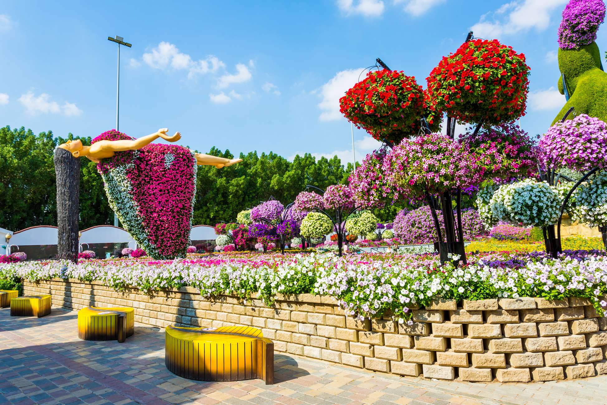 Dubai Miracle Garden Skip-the-Line Ticket & Transport Option Hotels Booking Trips