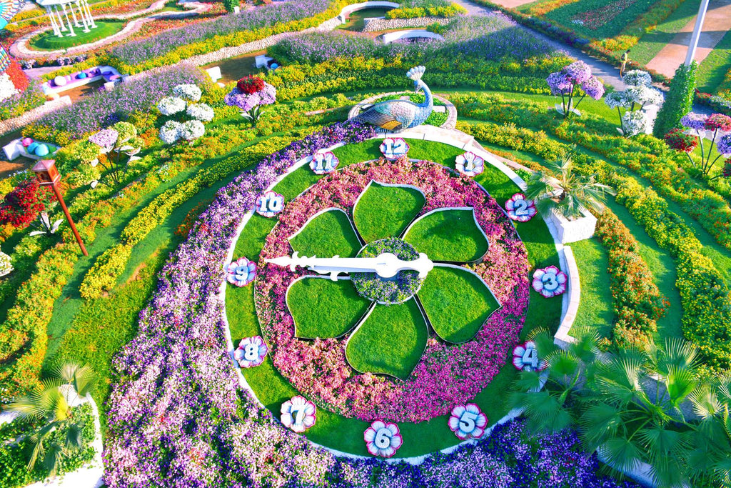Dubai Miracle Garden Skip-the-Line Ticket & Transport Option Hotels Booking Trips