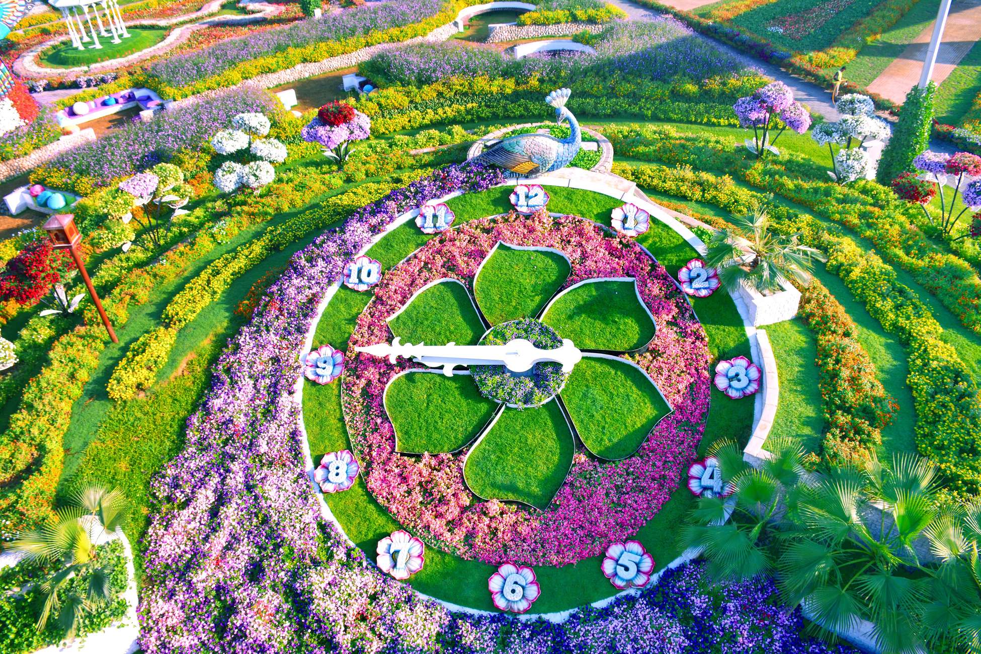 Dubai Miracle Garden Skip-the-Line Ticket & Transport Option Hotels Booking Trips