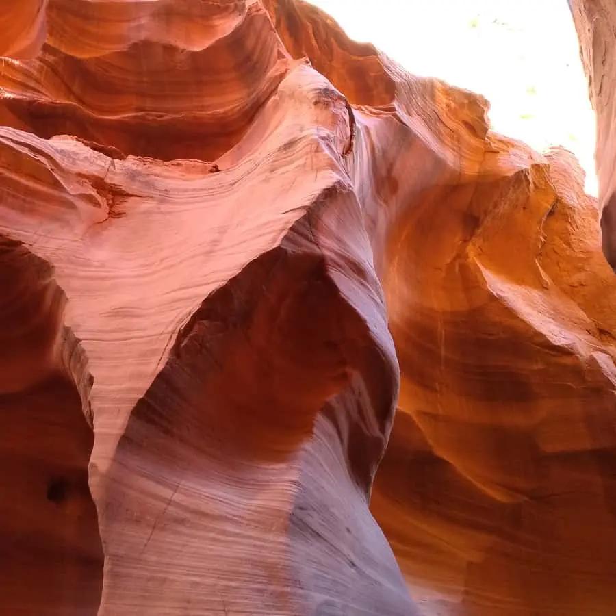 Lower Antelope Canyon Entry and Navajo Guided Tour Hotels Booking Trips