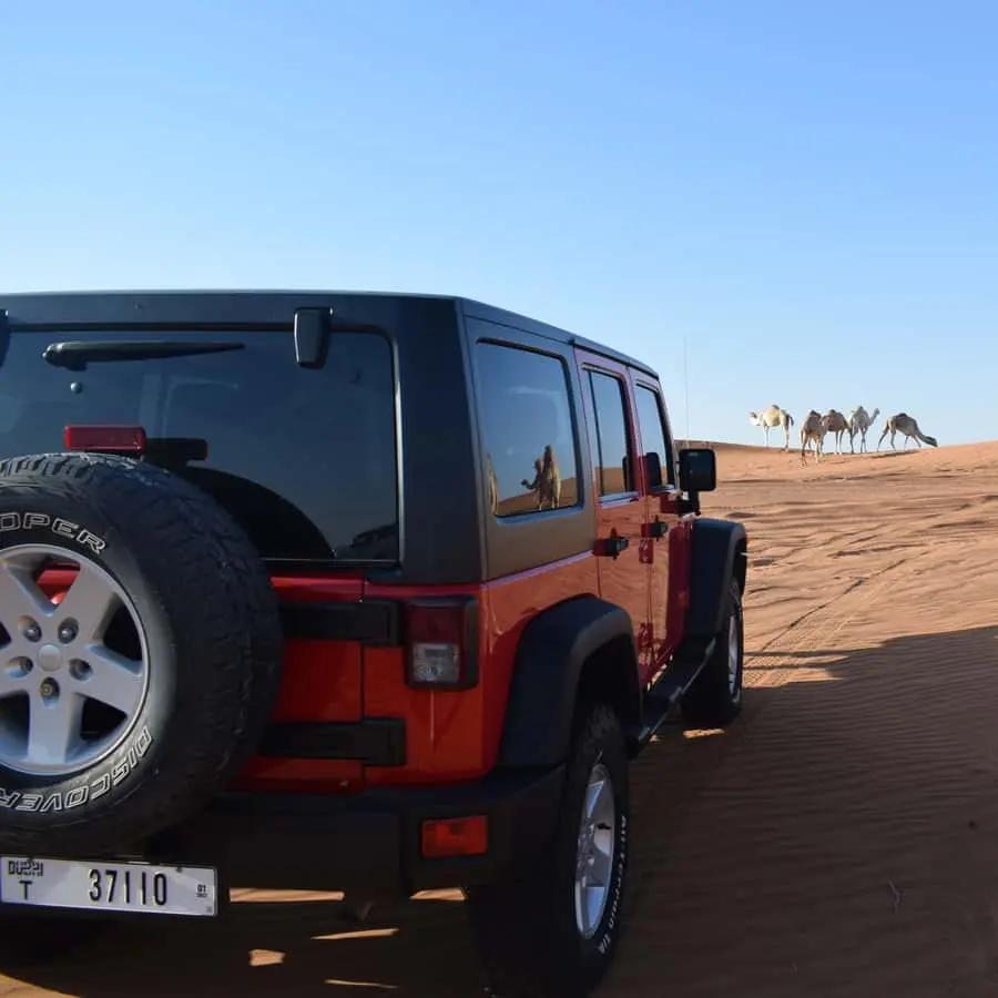 Dubai: Desert Safari, Quad Bike, Camel Ride and Sandboarding Hotels Booking Trips