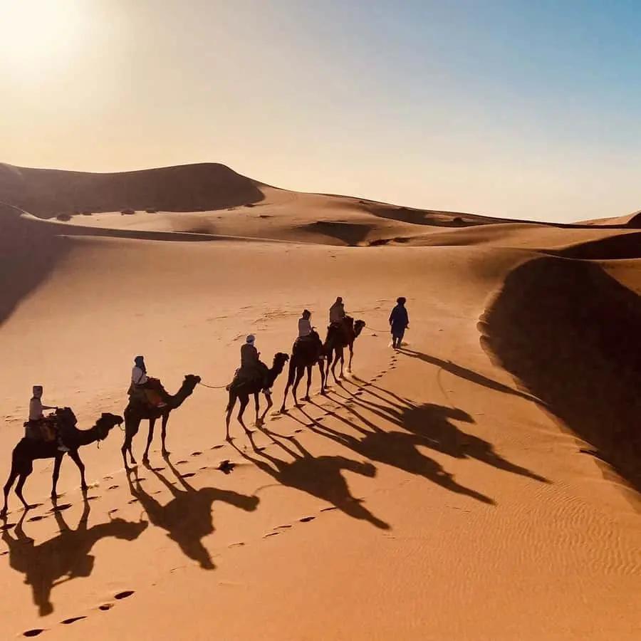 From Merzouga: Overnight Camel Trek over Erg Chebbi Dunes Hotels Booking Trips
