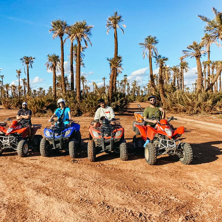 Marrakech: Quad Bike Tour to Palm Oasis and Jbilat Desert Hotels Booking Trips