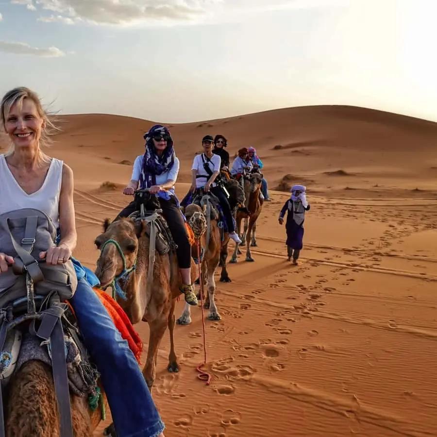From Merzouga: Overnight Camel Trek over Erg Chebbi Dunes Hotels Booking Trips