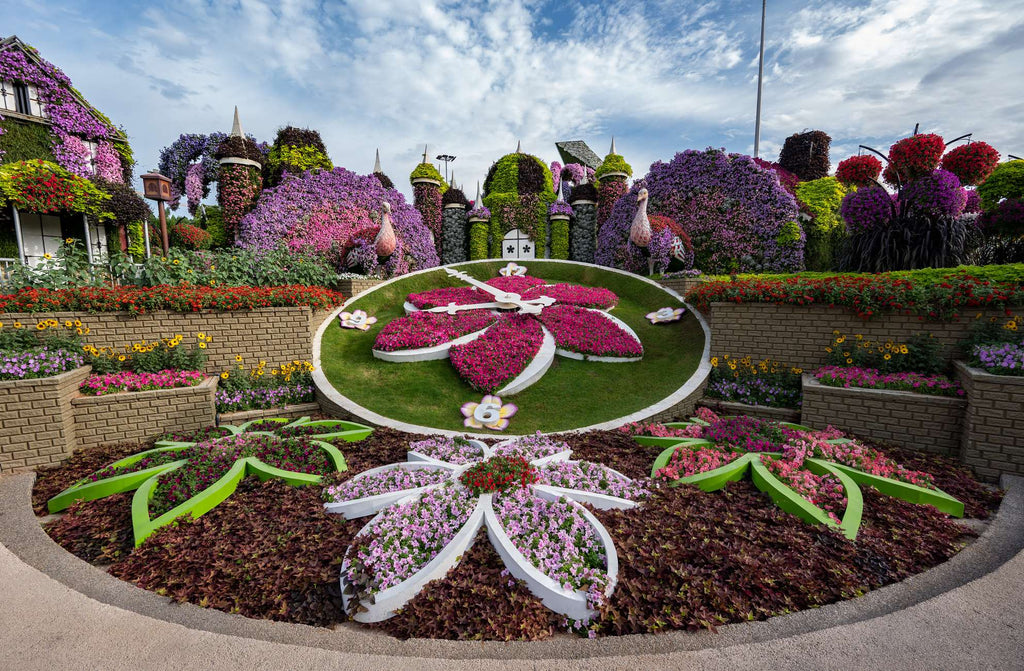 Dubai Miracle Garden Skip-the-Line Ticket & Transport Option Hotels Booking Trips