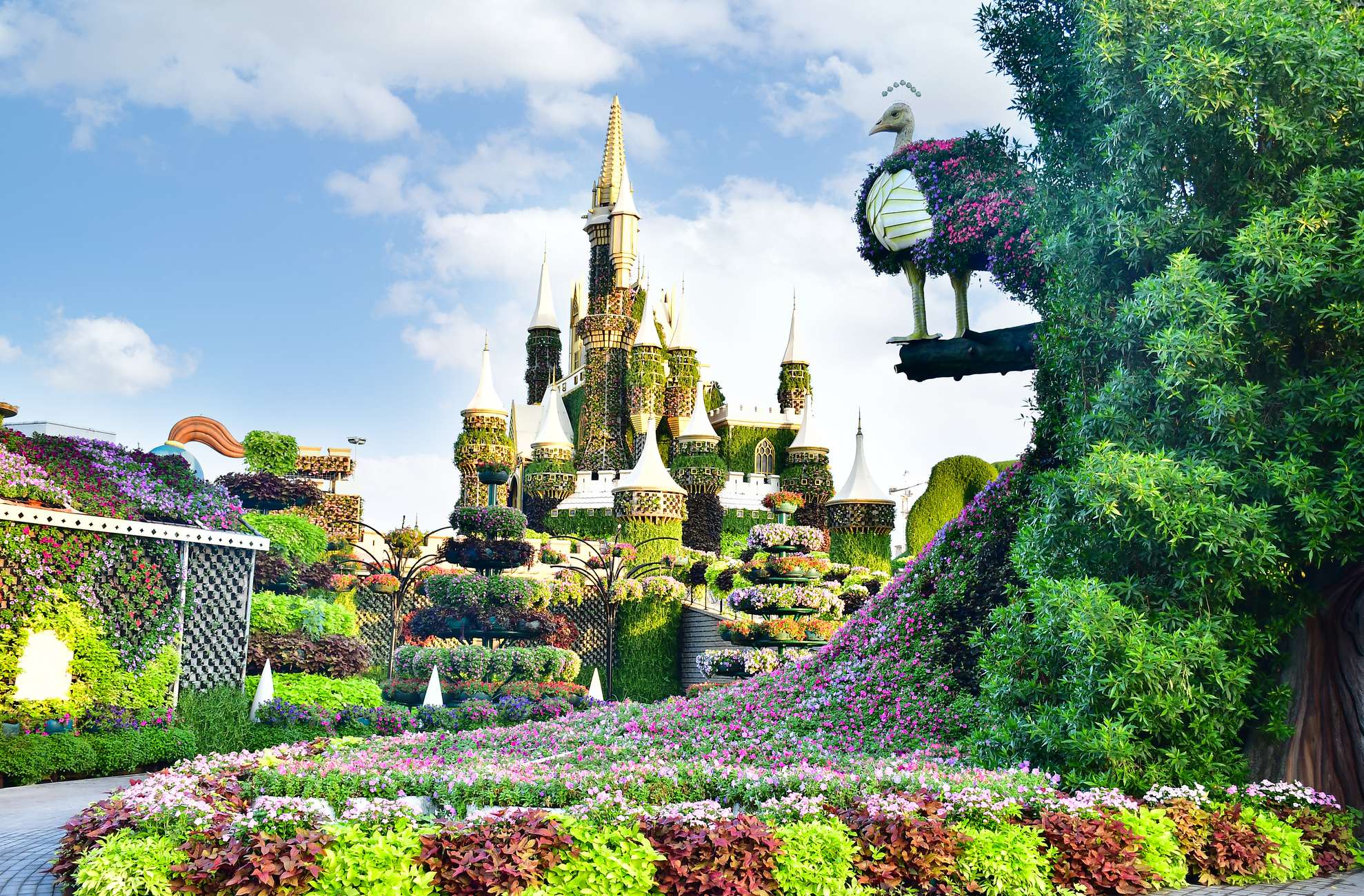 Dubai Miracle Garden Skip-the-Line Ticket & Transport Option Hotels Booking Trips