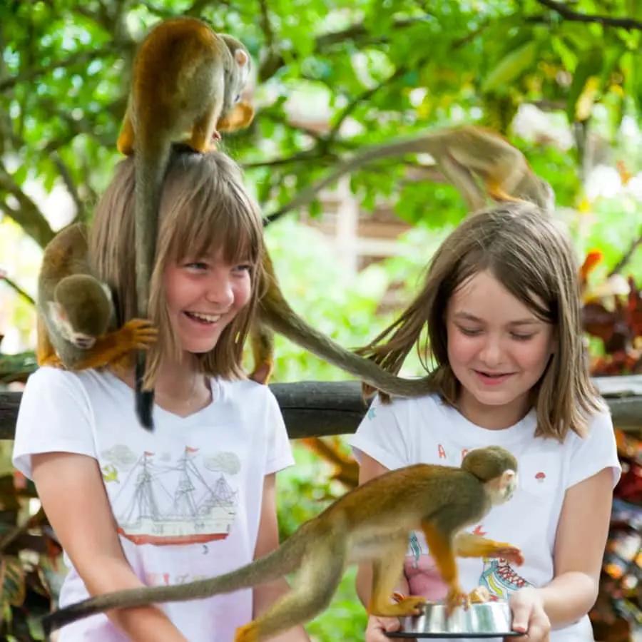 From Bayahibe Half Day Monkeyland Safari Hotels Booking Trips