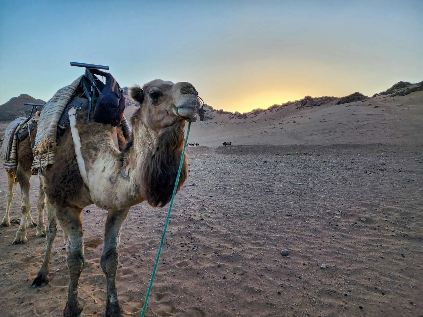 From Marrakech: 2-Days luxurious experience to Zagora Desert Hotels Booking Trips