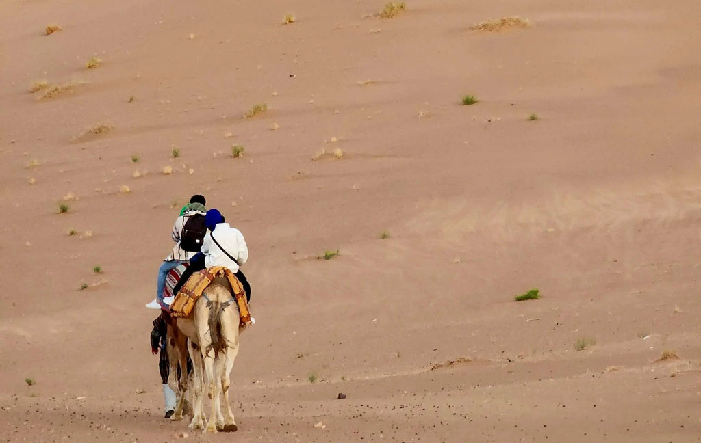 From Marrakech: 2-Days luxurious experience to Zagora Desert Hotels Booking Trips