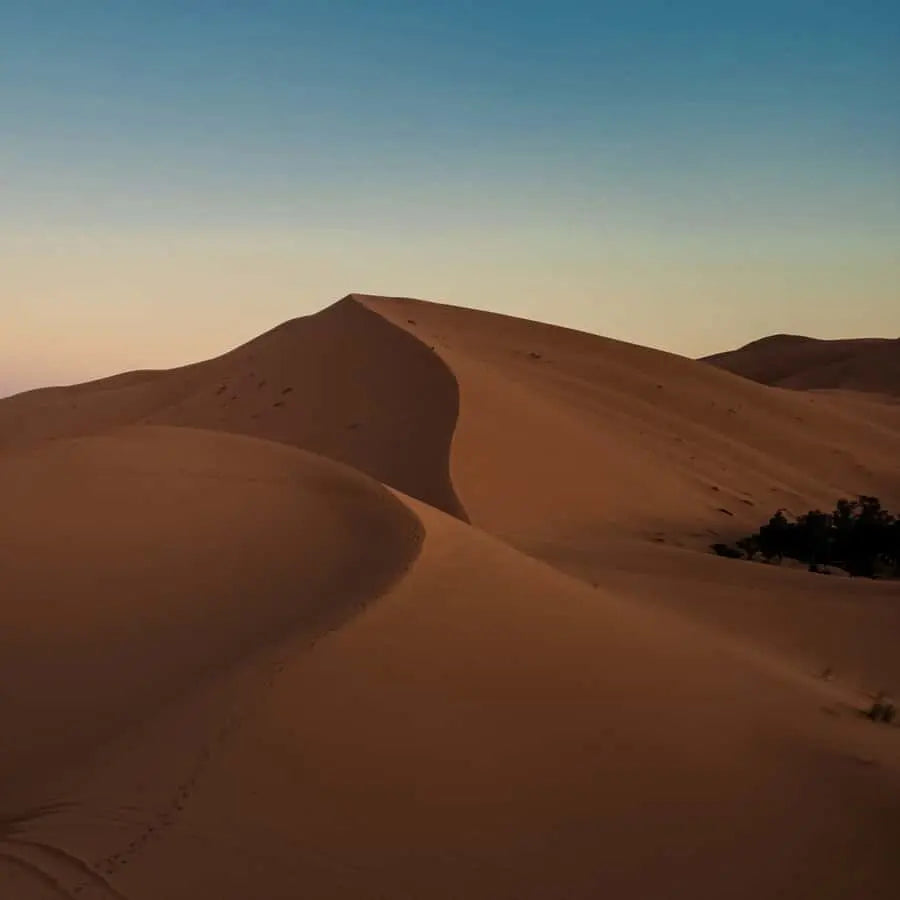 From Marrakech Merzouga 4 Day Luxury Tour w Optional Quad 