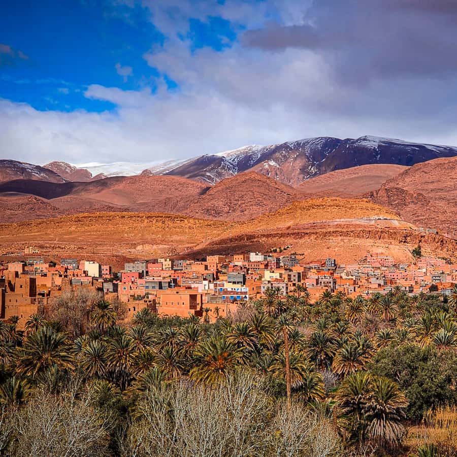 From Marrakech Merzouga 4 Day Luxury Tour w Optional Quad 
