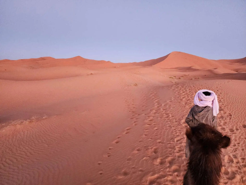 Majestic Desert: 3-Day Luxury Journey from Marrakech to Fes Hotels Booking Trips