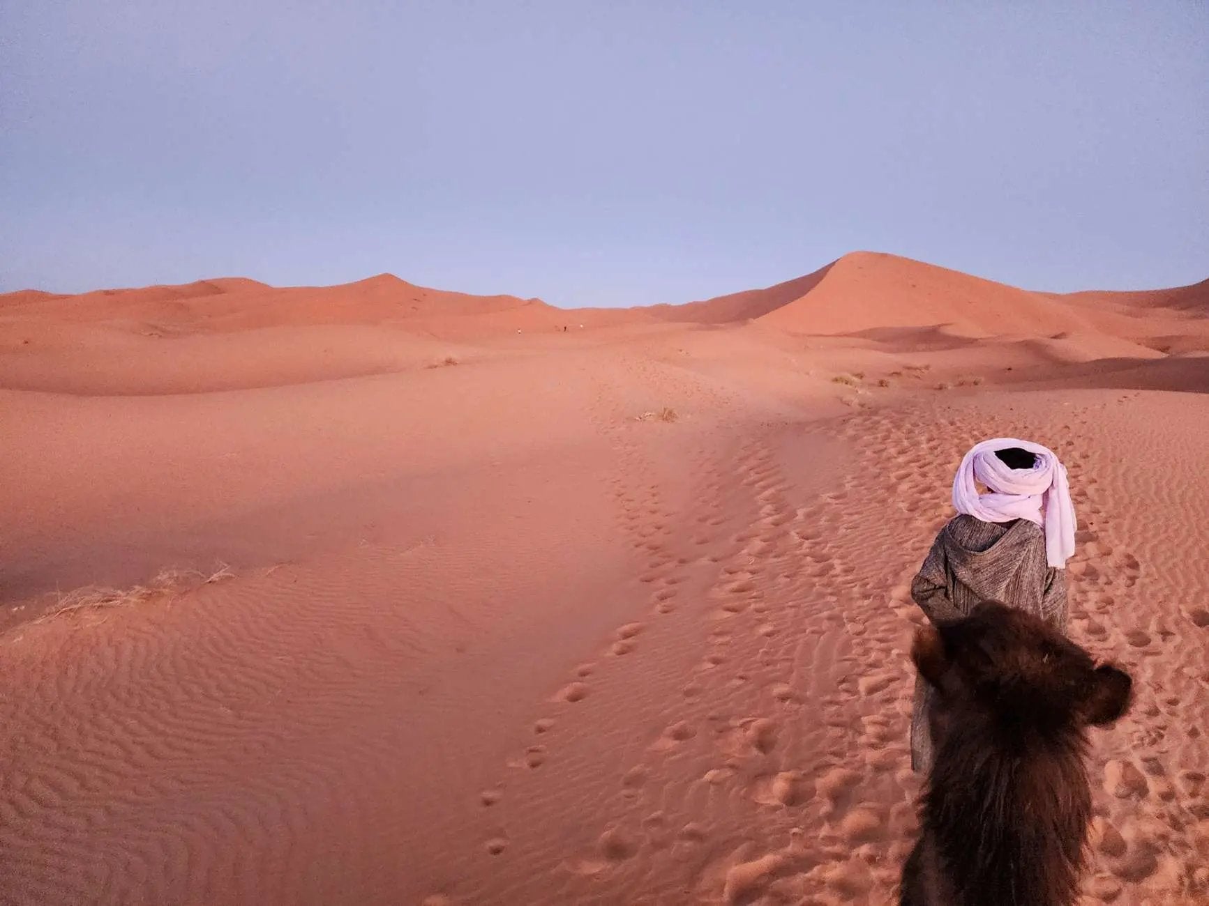 Majestic Desert: 3-Day Luxury Journey from Marrakech to Fes Hotels Booking Trips