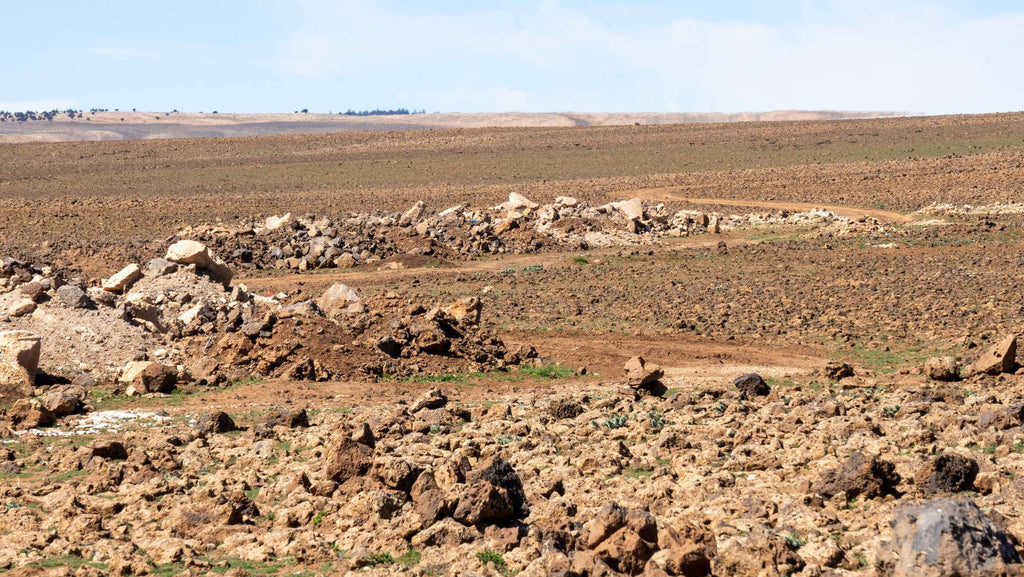 Majestic Desert: 3-Day Luxury Journey from Marrakech to Fes Hotels Booking Trips