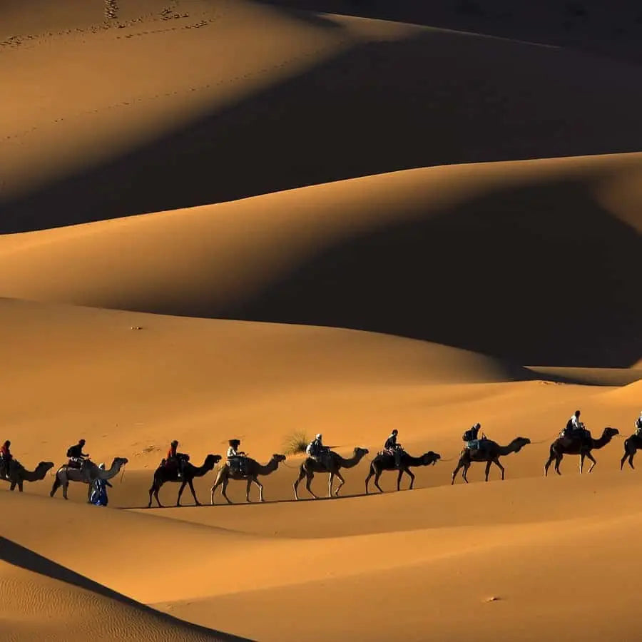 From Marrakech Unforgettable 3 Day Desert Tour to Fes 