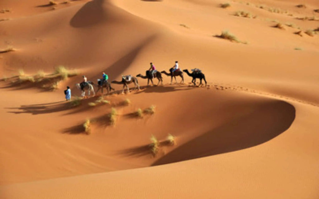 From Marrakech: 3-Day Merzouga and Sahara Desert Tour Hotels Booking Trips