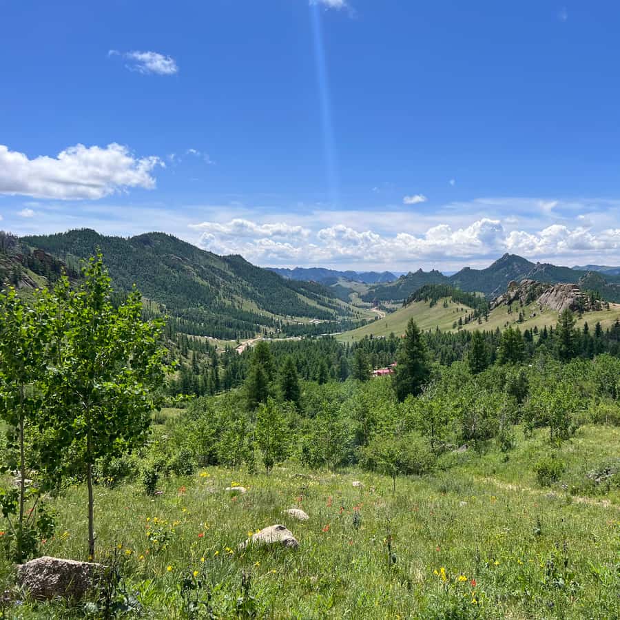 Ulaanbaatar: Chinggis Khan Statue and National Park Day Trip Hotels Booking Trips