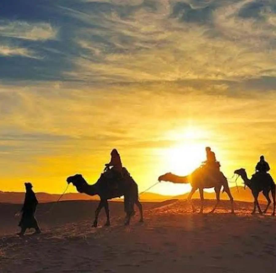 Marrakech: Agafay Desert Sunset, Camel Ride, and Dinner Show Hotels Booking Trips